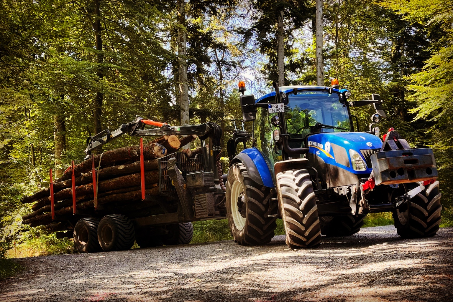 Forsteinsatz im Herbst – Originalfoto von Agrar-Service Ihrig